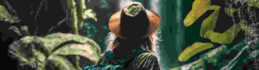 SirSearch.com